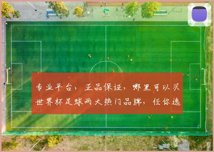 专业平台，正品保证，哪里可以买世界杯足球两大热门品牌，任你选择，速来抢购