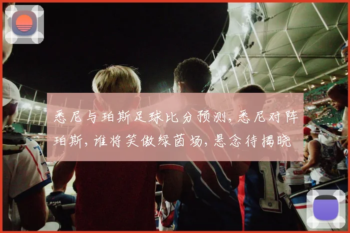 悉尼与珀斯足球比分预测,悉尼对阵珀斯,谁将笑傲绿茵场,悬念待揭晓,一触即发