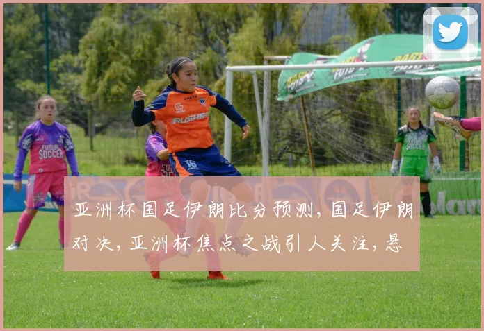 亚洲杯国足伊朗比分预测,国足伊朗对决,亚洲杯焦点之战引人关注,悬念重重。