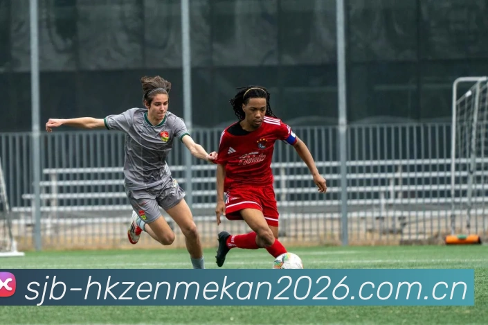 香港怎么看世界杯2026平台生态图